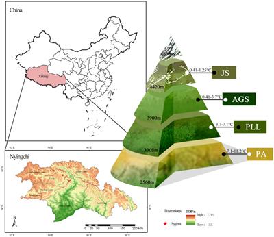 Seasonal variations in C/N/P/K stoichiometric characteristics in different plant organs in the various forest types of Sygera Mountain